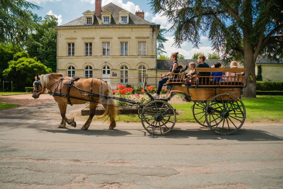 Domaine de Roiffé