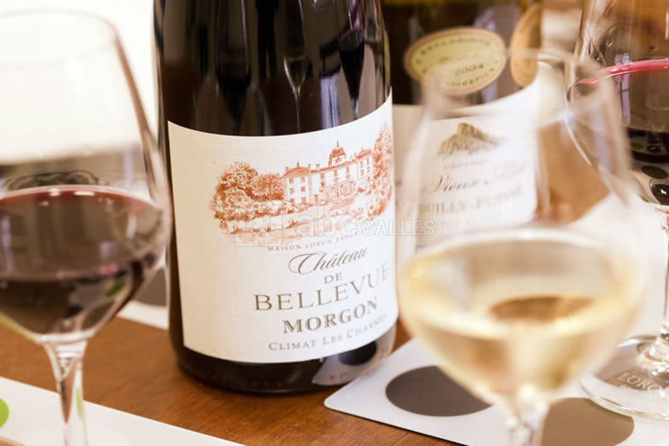 Château de Bellevue