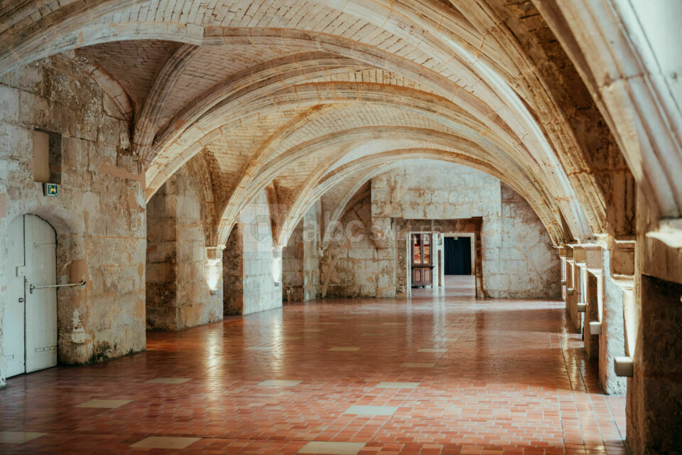Château de Cognac