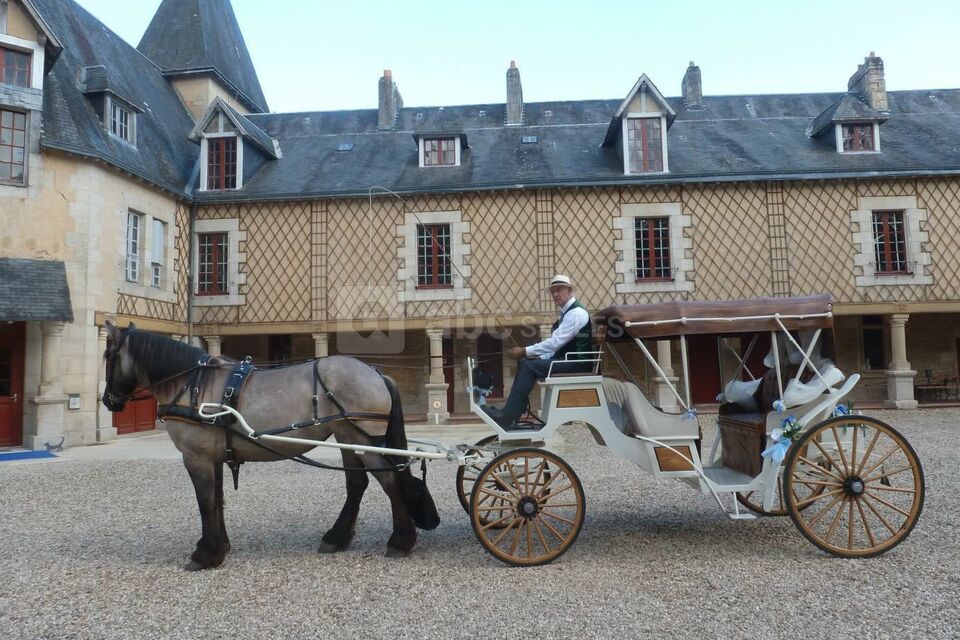 Château de la Mothe en Poitou