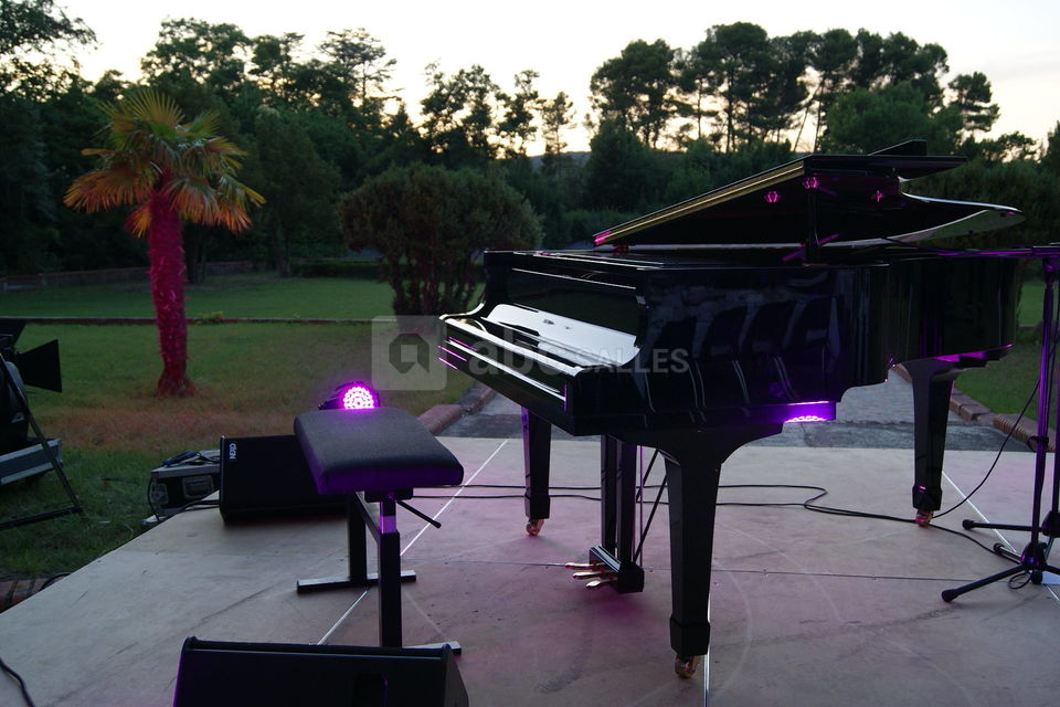 Animation piano dans nos propres lieux ou transportables sur nos prestations diverses exterieures