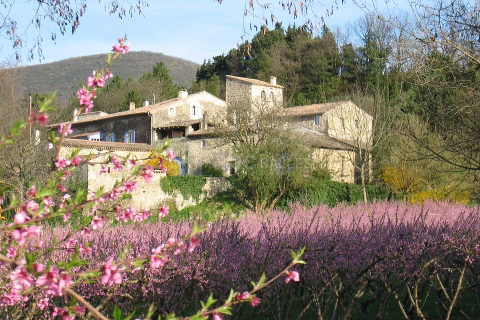 Vue principale