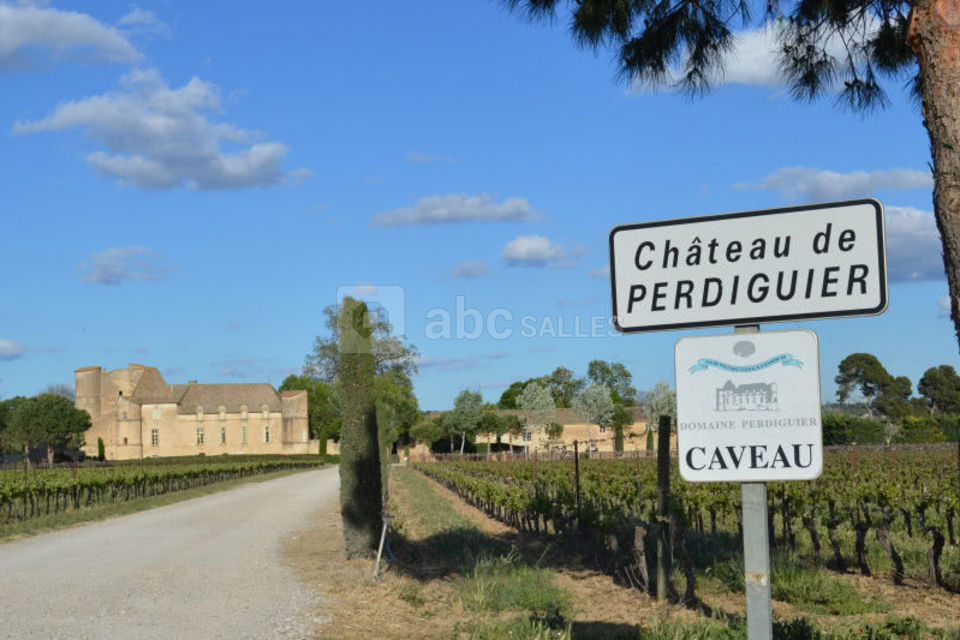 Château de Perdiguier