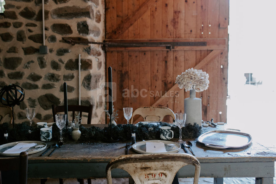 Salle de mariage dans le Puy-de-Dôme au château de Bois Rigaud