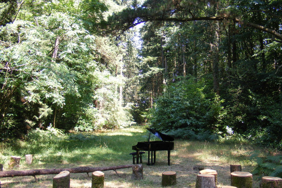 Château de la Forêt