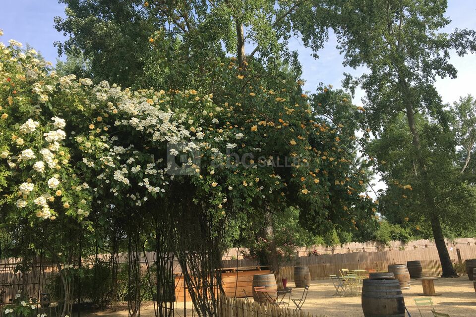 Les Chemins de la Rose