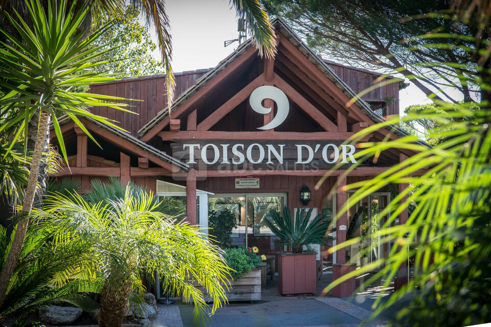 La Toison d'Or