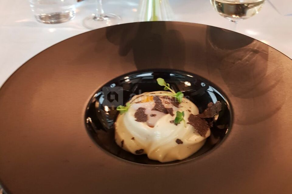 Rhino Féroce Lausanne