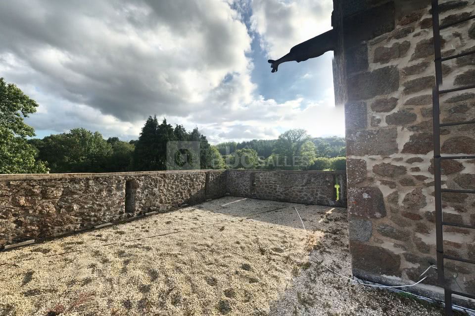Château Type Moyen âge Avec Donjon