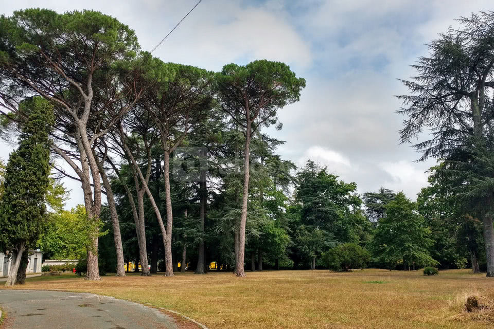 Une salle situé au cœur d'un écrin de verdure