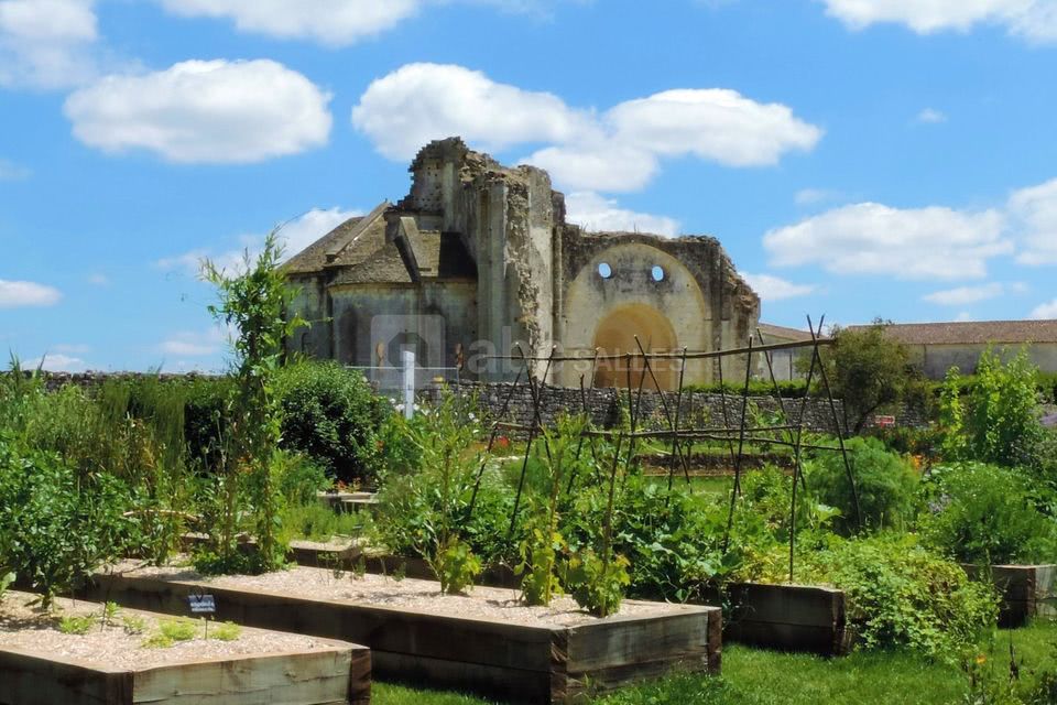 L'abbaye vue du Jardin Médiéval