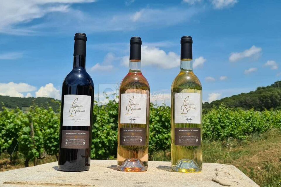 Nos vins