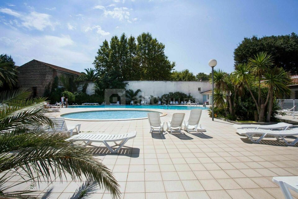 Domaine du Mas Blanc