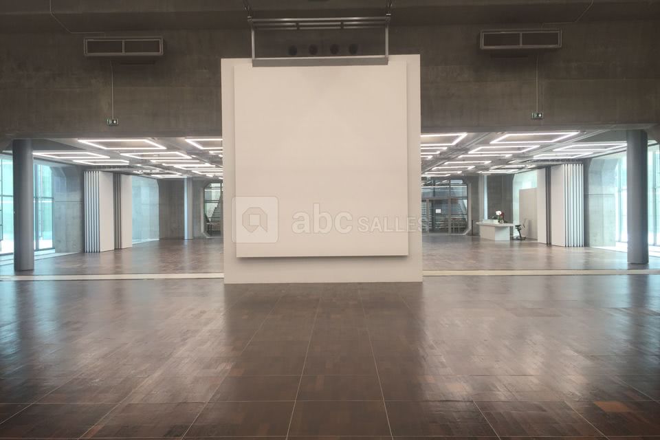 Le Toit de la Grande Arche