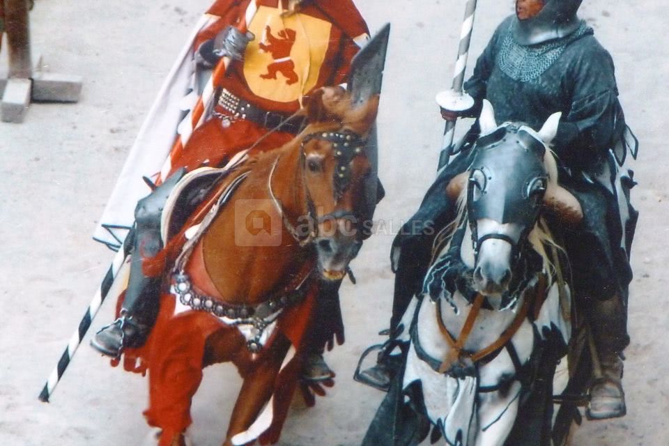 Spectacle de chevalerie