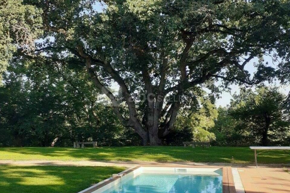 Château de Puydaniel Côté jardin -Piscine