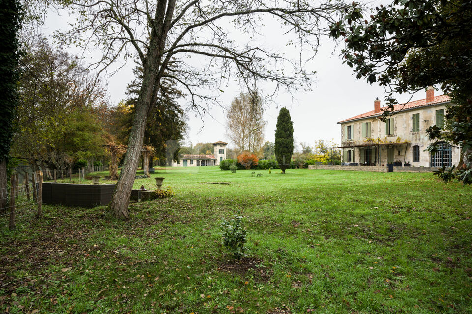 Jardin