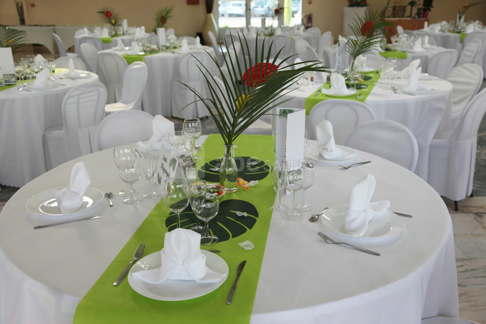 Domaine des Chênes Verts