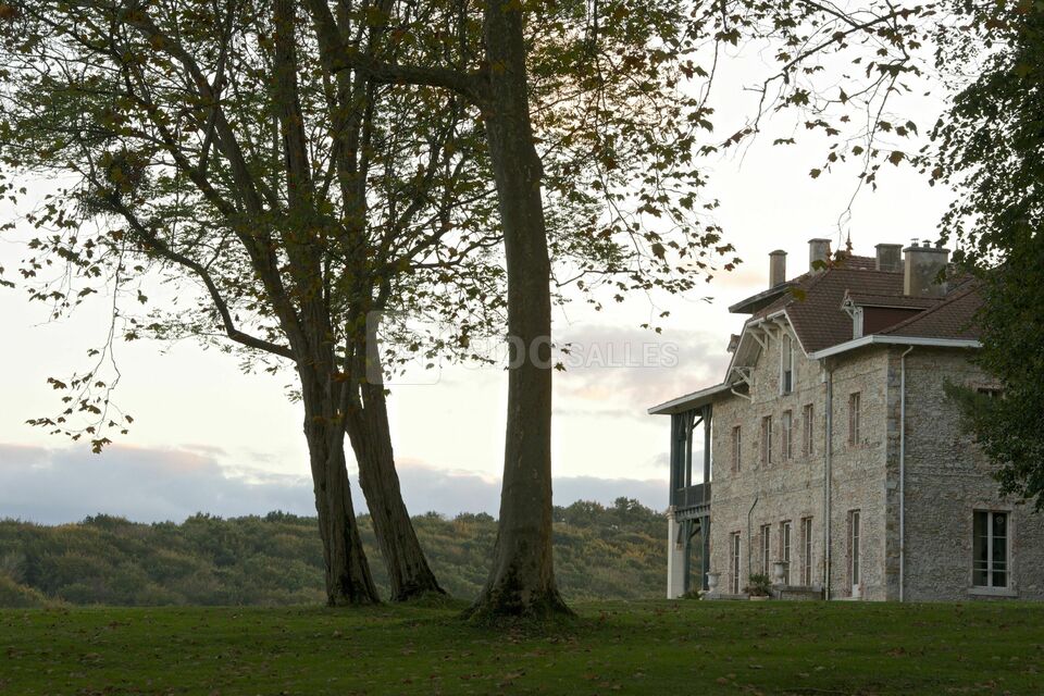 Domaine Nitot