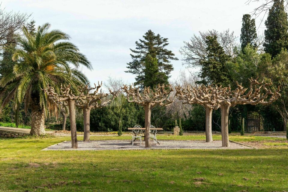 Château Prat de Cest