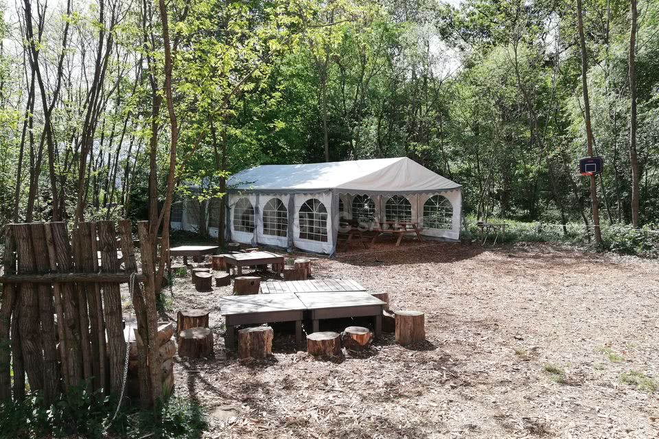 Forest Arena
