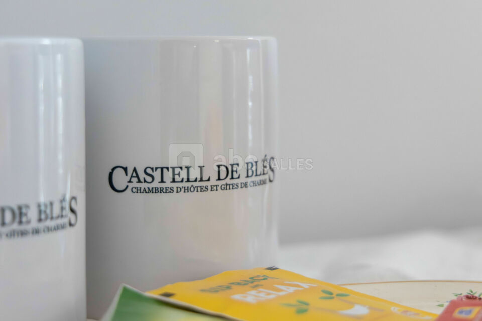 Domaine Castell de Blés