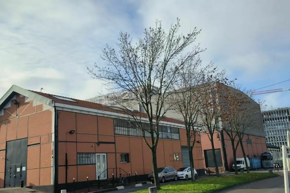 Studios 217