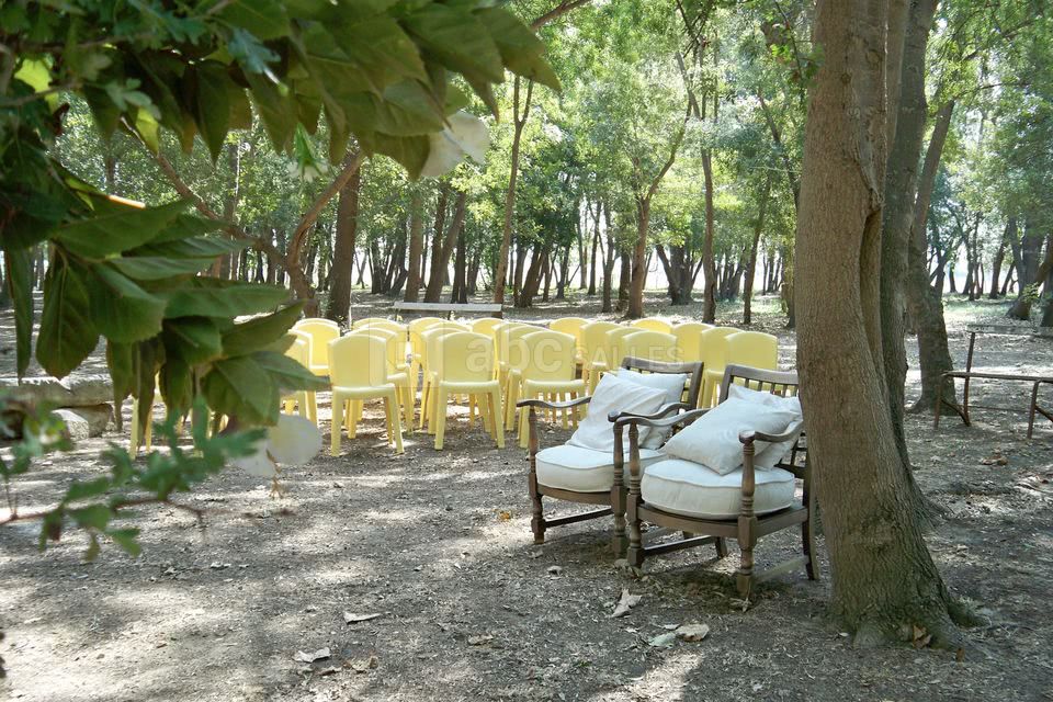 Site