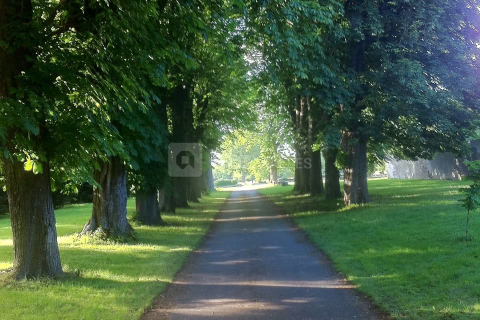 Camp Paintball ABC Salles