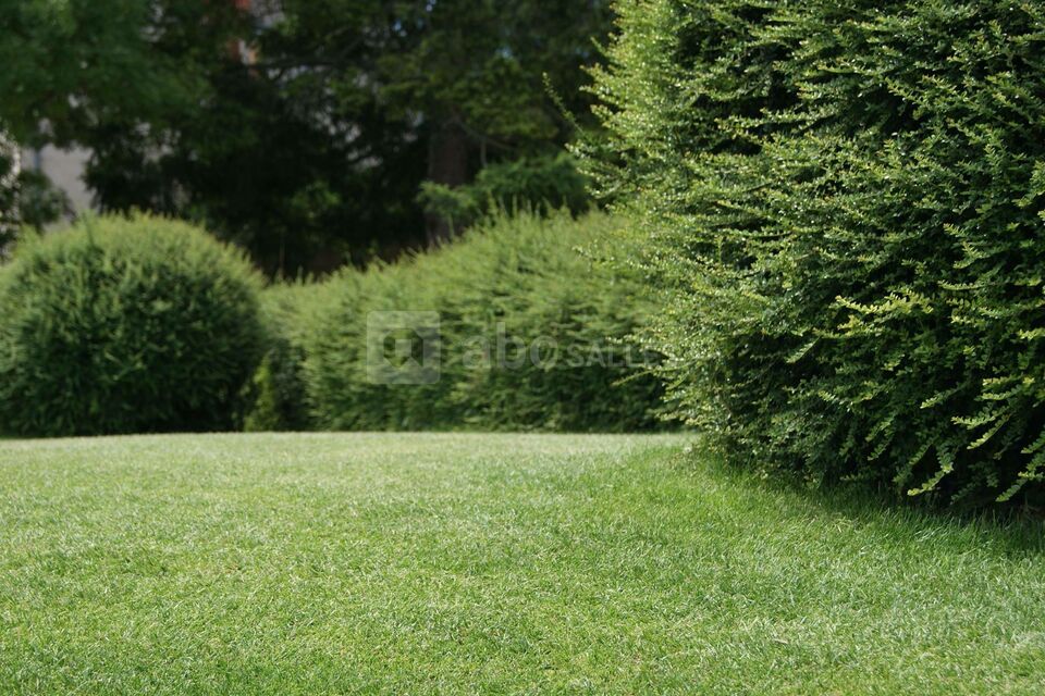 Les Champs Blain