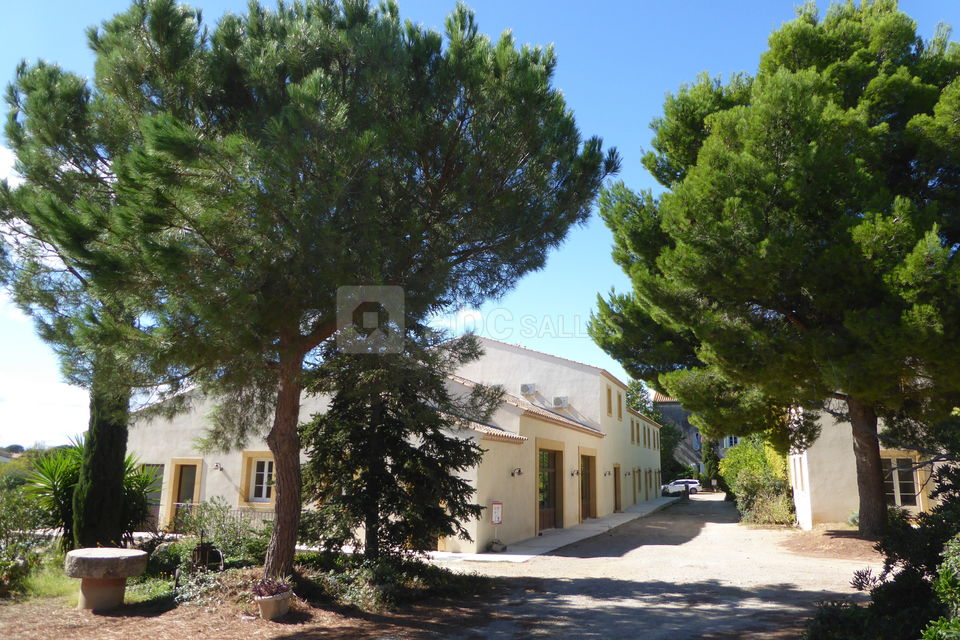 Domaine de l'Herbe Sainte