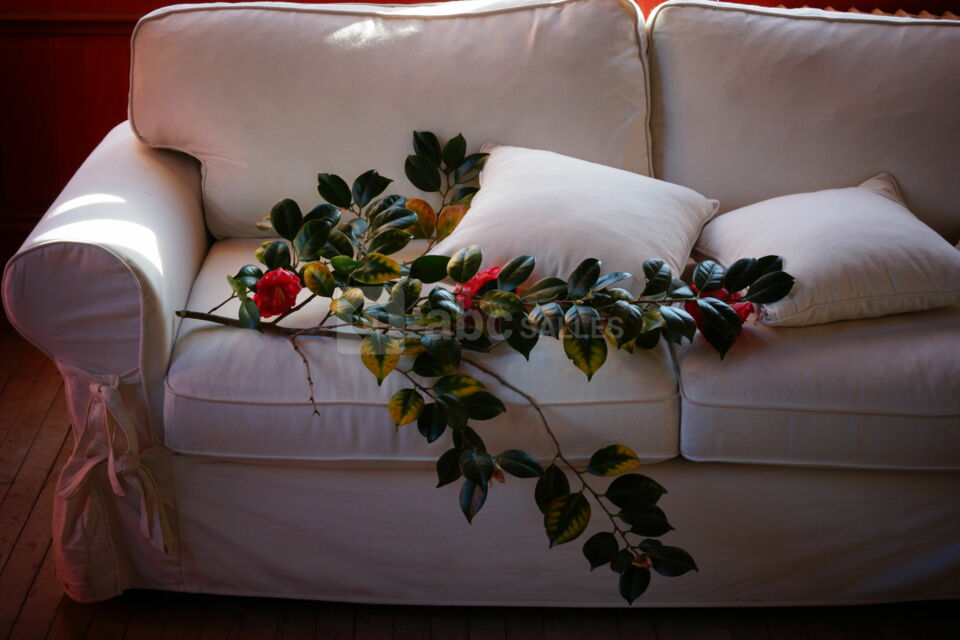 Château Le Bois Rignoux