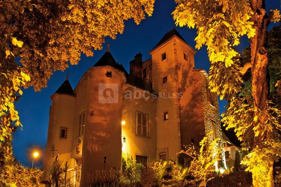 Le domaine