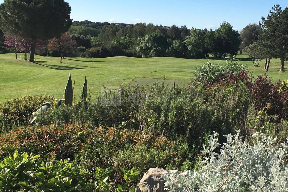Vue Golf