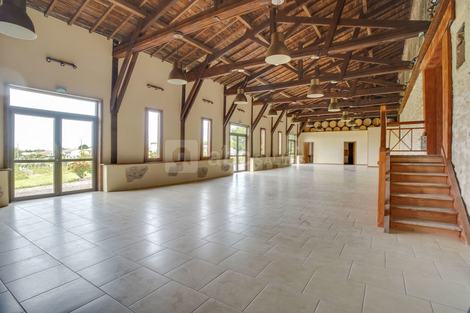Salle Vignes - Château Auros