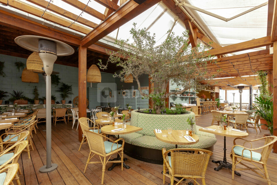 Brasserie Auteuil