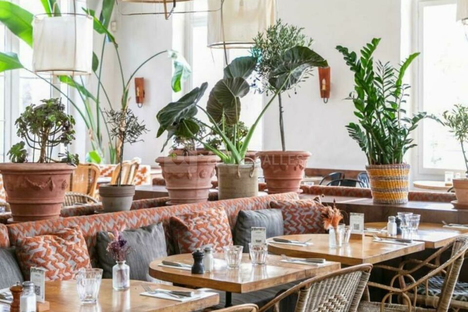 Brasserie Auteuil