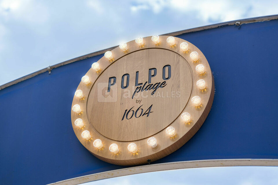 Polpo