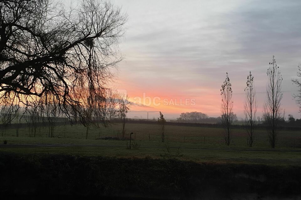 Alchimie des Colombes