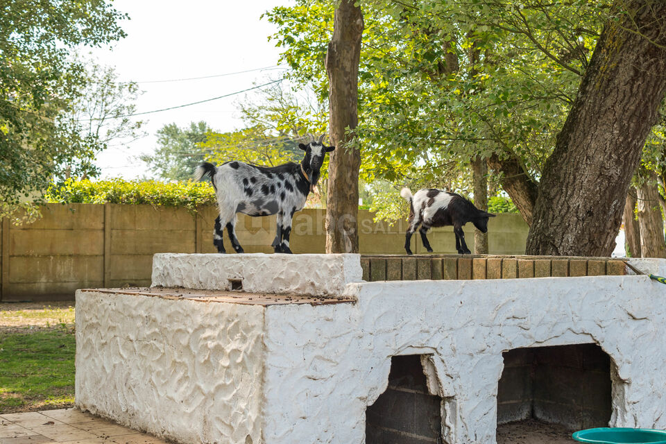 La Ferme des 10 Ecus