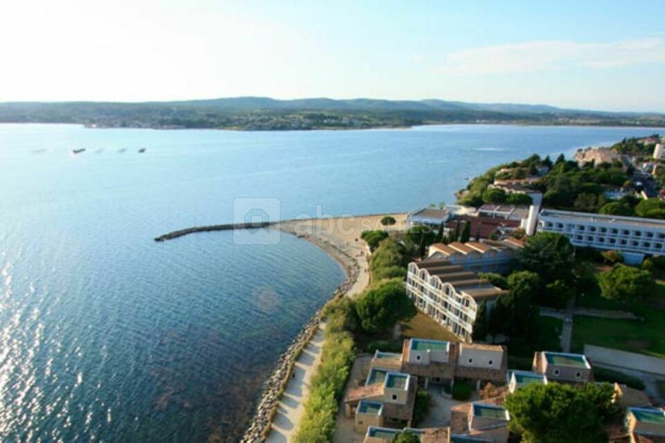 Vue