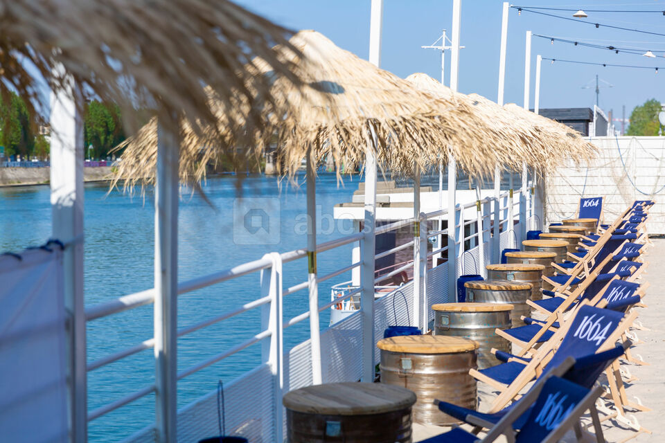 Polpo Plage