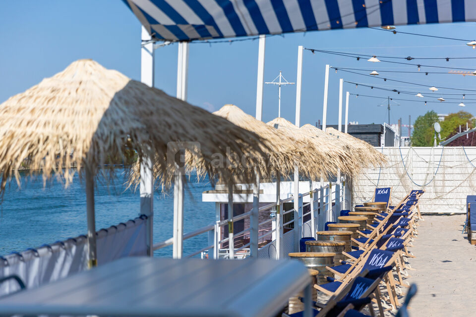 Polpo Plage
