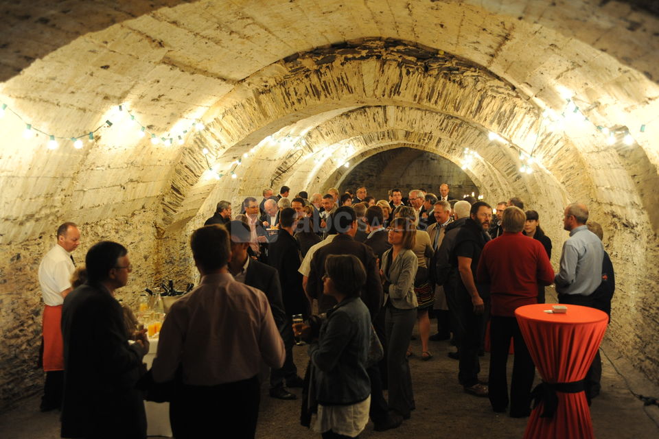 Château du Plessis-Macé