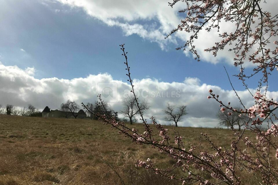 La Fleure de Quinsac