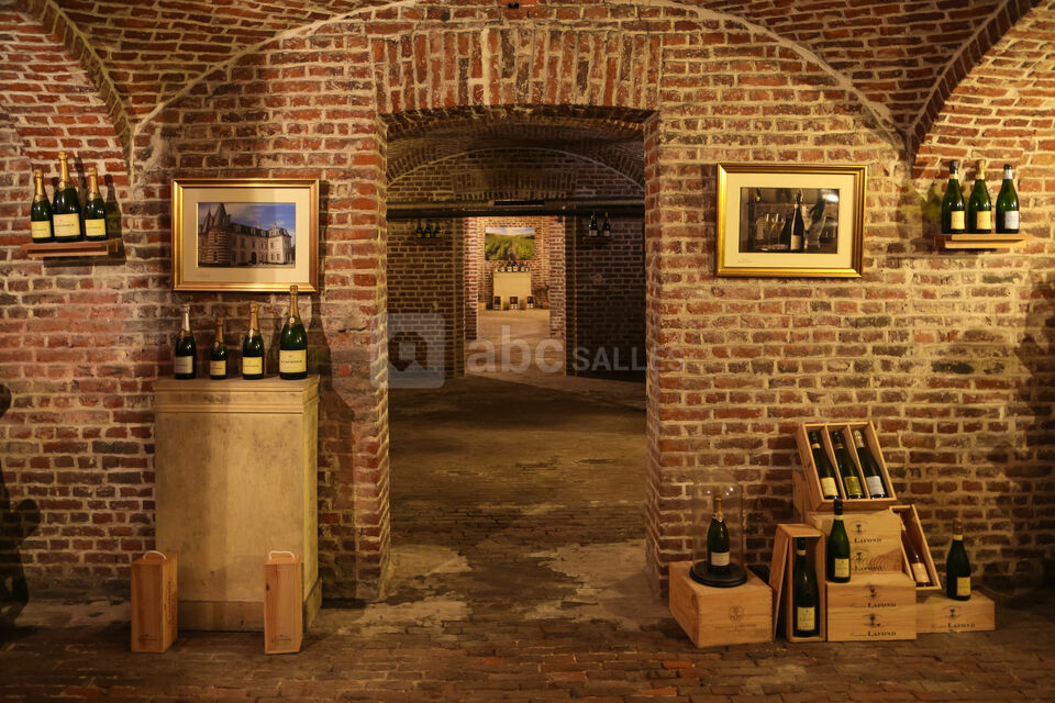 Château d'Avelin