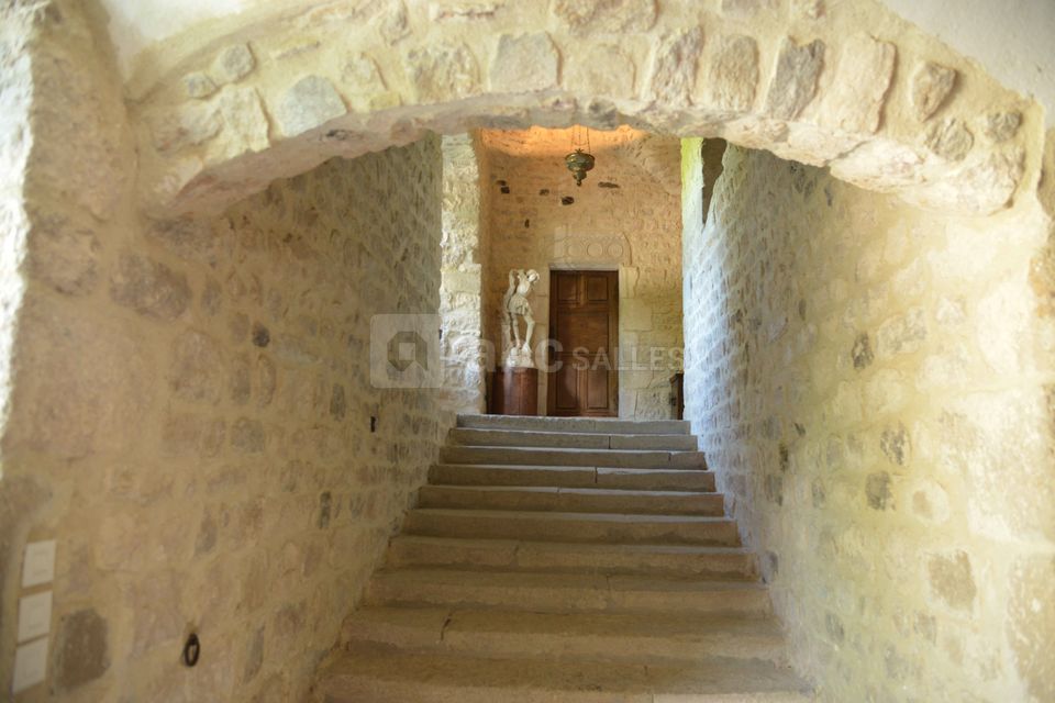 Château de Maisonseule