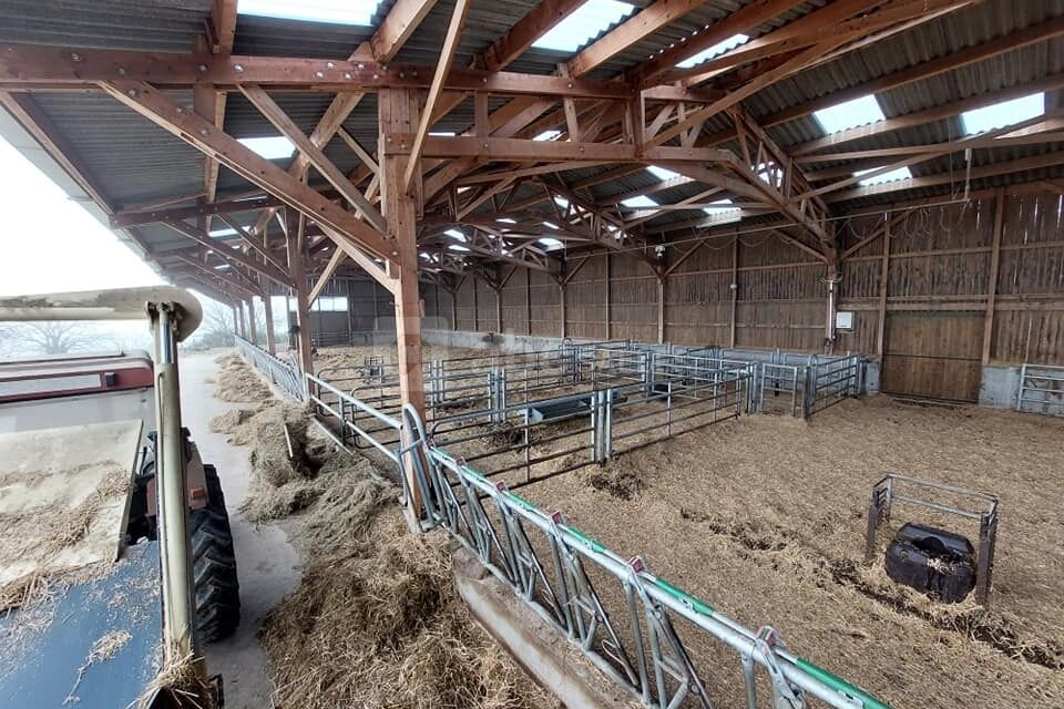 La Ferme Aux Limousines d'Urfé
