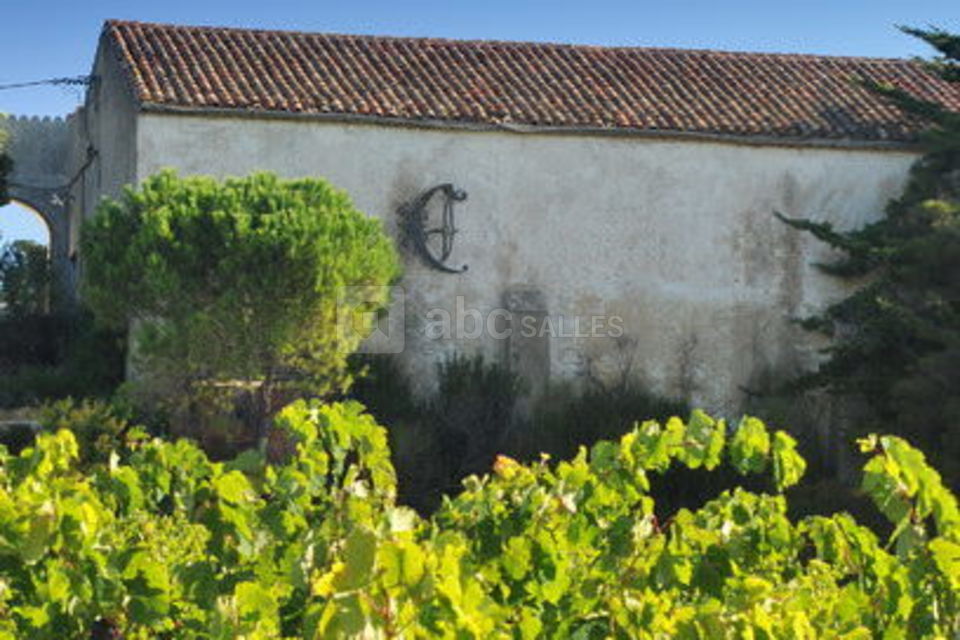 La Bergerie du Château Camplazens