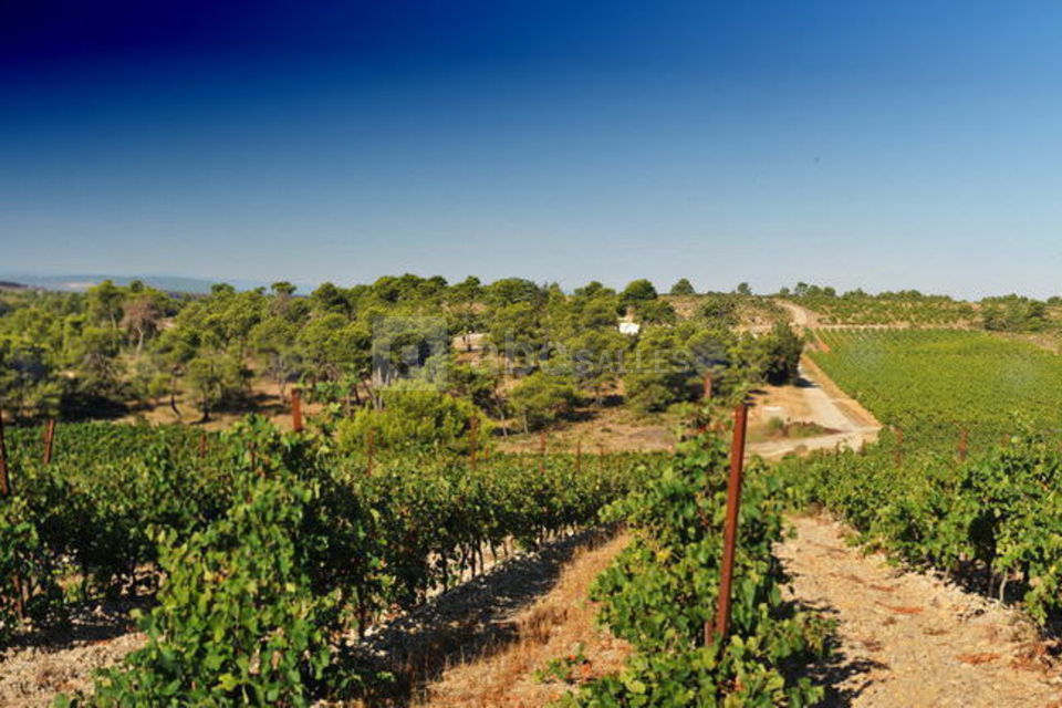 La Bergerie du Château Camplazens